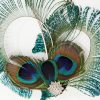 Unique Vintage 1920s Peacock Feather Hair Clip 9BDC.jpg