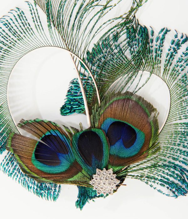 Unique Vintage 1920s Peacock Feather Hair Clip 9BDC.jpg